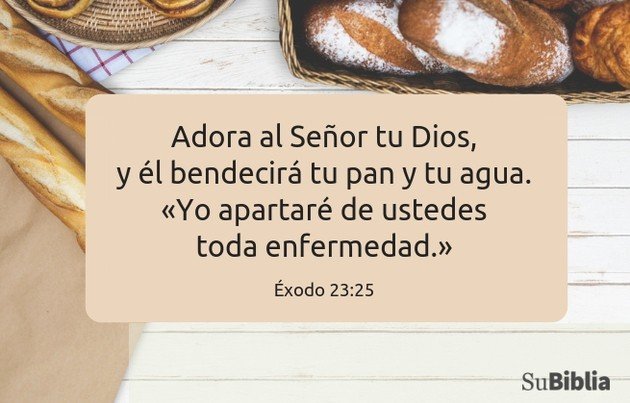 14 versiculos biblicos que hablan sobre sanidad divina